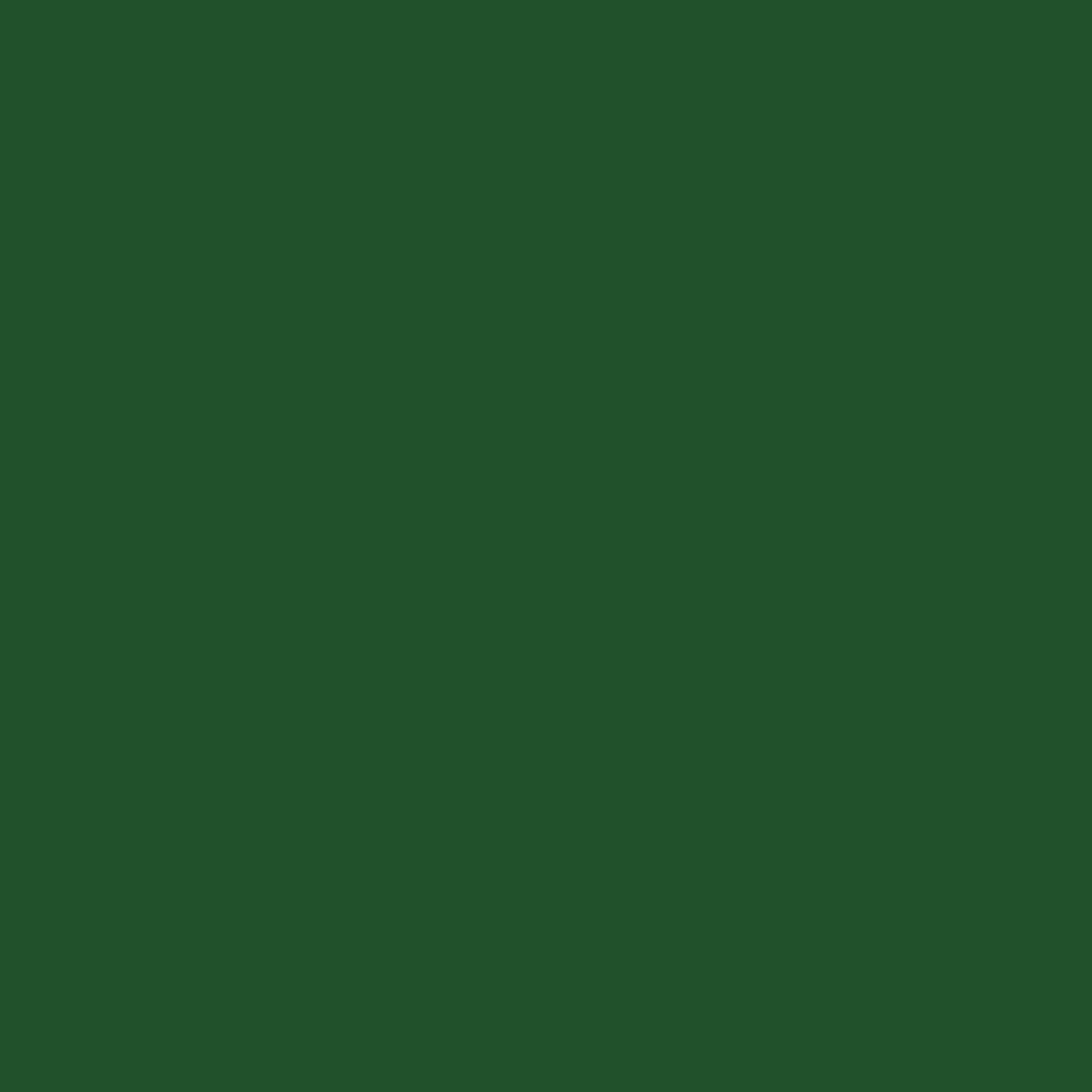 Heroes 1821 | Green Cord | Black Rhodium Plated 925 Silver